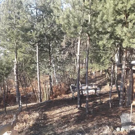 Art Cabin On Mountain *