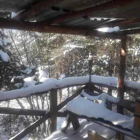 Domek alpejski Art Cabin On Mountain